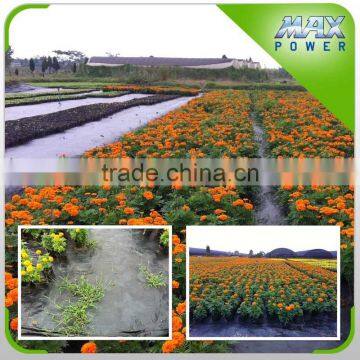 New Arrival Plastic Film Greenhouse Agriculture photo-4