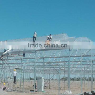 Polythene greenhouse