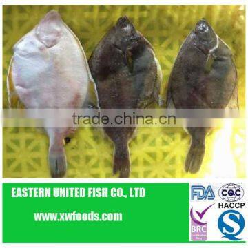 IQF yellow fin sole fillets