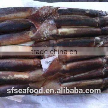 competitive price of frozen illex squid