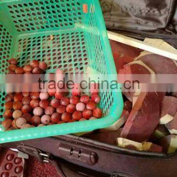 Kang Mingjian Beads Wooden Beads Processing the Entire Machine