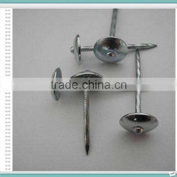 Umbrella Head Roofing Nail of 50kg Gunny Bag photo-2