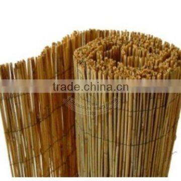 Reed Screen photo-6