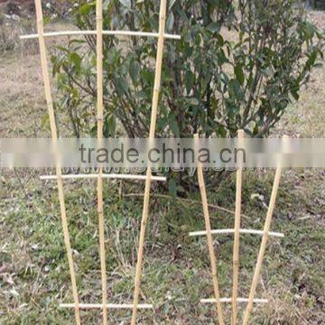 Manufacturer of Bamboo Cane Trellis Garden Bamboo Trellis for Planting photo-6