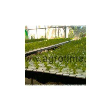 DFT Hydroponic
