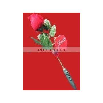 Valentine gift