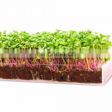 wholesales acrylic concrete sky planter mold