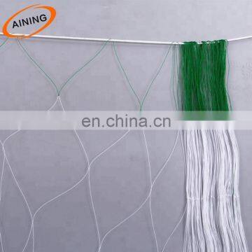 Thailand plastic mesh 20*20 plant support net for long beans