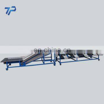 Multifunction Garlic Size Sorting Machine with Best Price