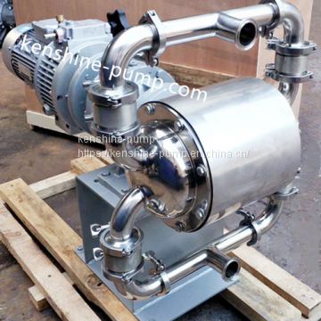 DBW food hygienic/sanitary electric diaphragm pump