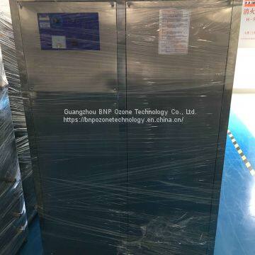 BNP Ozonizer SOZ-YW-40G ~200G Ozone Generator for Swimming Pool & Waster Water Treatment photo-4