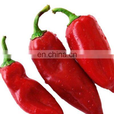 vegetables spicy food frozen red chili with good quality and moderate price in China