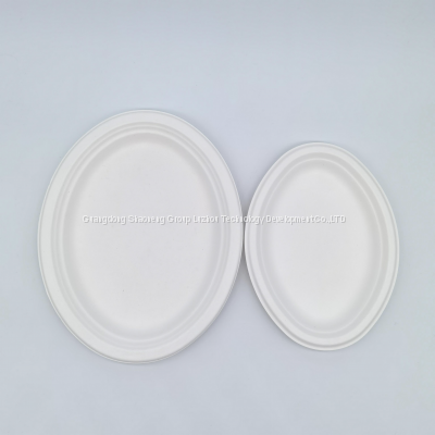 12.5 Inch Customizable Big Oval Plate Sugarcane Biodegradable Wholesale Bagasse Plate Compostable Biodegradable Plastic Free photo-4