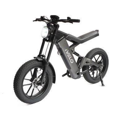 iVelo Hot Selling 48V 13AH 1000W Snow EBike Lithium Battery Electric Fat Tire Bike