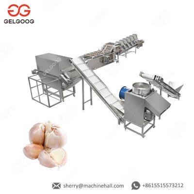 Garlic Paste Plant/Ginger Garlic Paste Making Machine Manufacturers