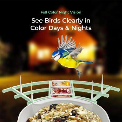 Ringsee Solar-powered Bird Feeder Smart Wifi Outdoor Bird Feeder 3MP Bird Feeder With Camera photo-4