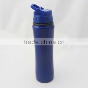 Stainless steel bottle opaque