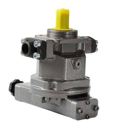HY10S-RP Hydraulic Plunger Pump for Various Hydraulic Applications photo-2