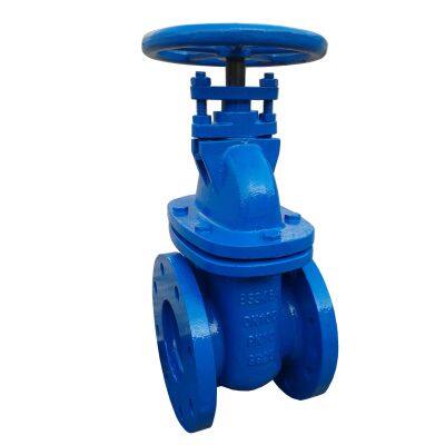 Factory Manufacture Large Size Hard Seal Wedge Gate Valve Manual Electric Gate Valve Cast Iron Flanged Rising Stem Gate Valve photo-4