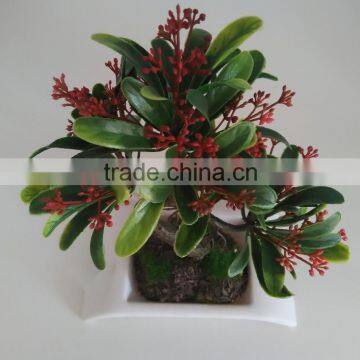 Bonsai For Indoor Office Decoration Gifts, Mini Fake Agave Plant Bonsai photo-4