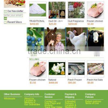 Build Your Ecommerce Website for Business,Internet Marketing Service,website Design,Software Company,website Developers photo-5