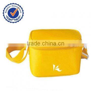 disposable cooler bag for frozen food