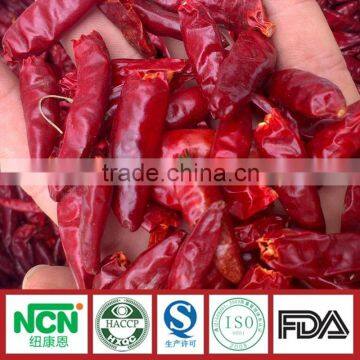 New Crop of Tianying Red Chilli