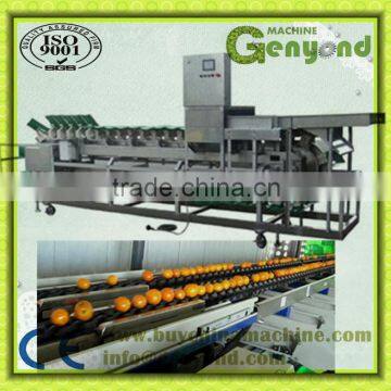 Automatic Fruit Weight Separation Machine