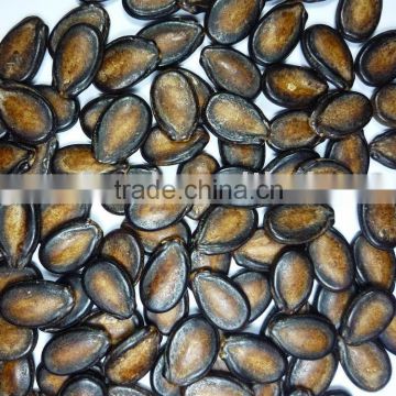 Black Melon Seeds