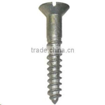 hot dip galvanized screw