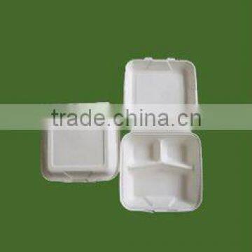 biodegradable tableware-take away food box