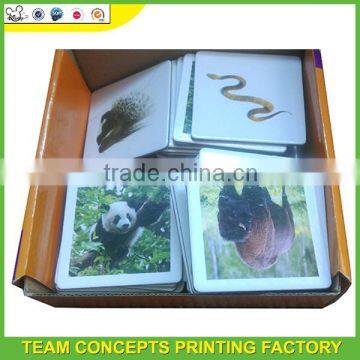 Low Price Paper Memory Card Price With Animal Shape photo-2