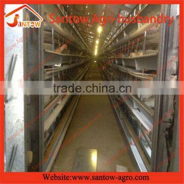 Competitive price with high quality chicken layer house