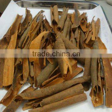 Broken Cassia from Vietnam