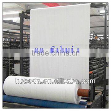 pp woven fabric roll