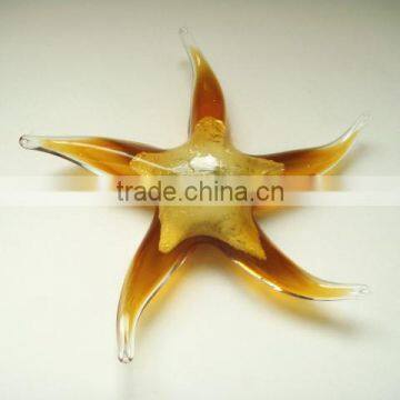 Glass Starfish photo-4