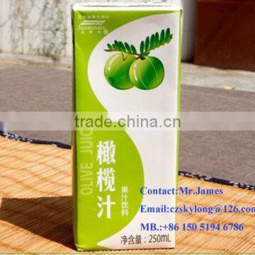 250ml aseptic carton for UHT beverage