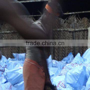 Exporters Of Fresh Cocounts photo-4