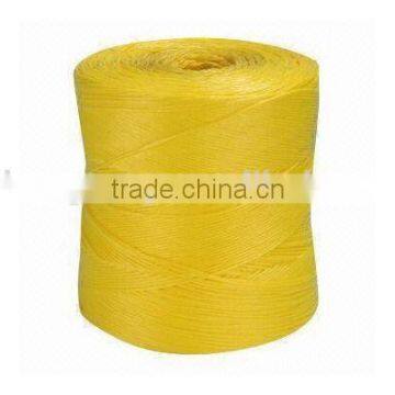 Popular Soft Greenhouse Tomato Tying Twine of Polypropylene Baler Twine photo-5