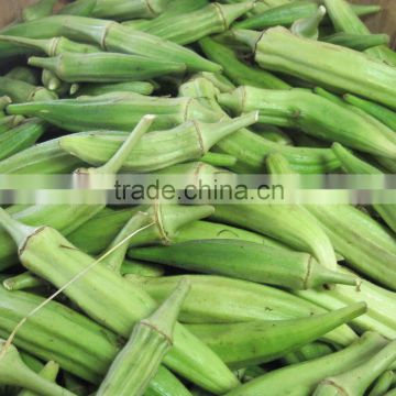 Fresh Okra