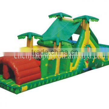 Inflatable Slide Castle