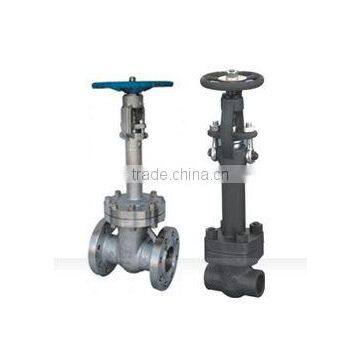 Cryogenic Gate Valve