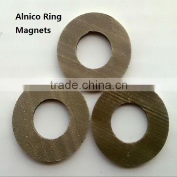 FLNGT38 Alnico Magnet