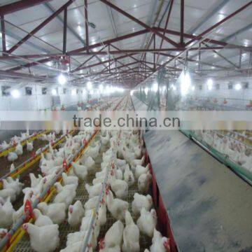 automatic poultry farming equipment for layer breeder chicken