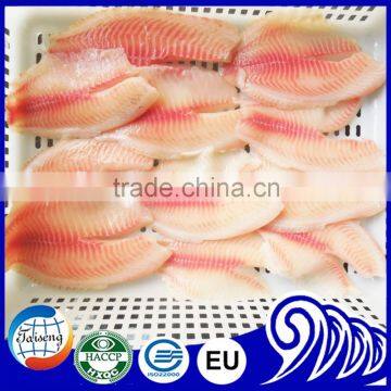 Frozen Fish Frozen Tilapia Fillet Low Price photo-3