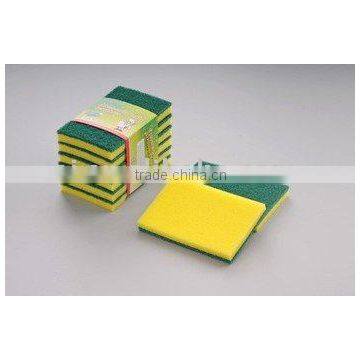 kitchen scourer sponge