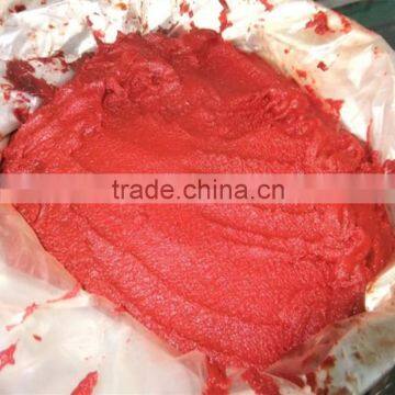 400g Canned Tomato Paste Tomato Paste Brands photo-4