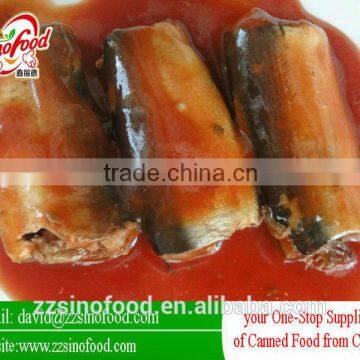 Canned Fish Canned Mackerel in Tomato Sauce