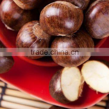 2015 New Crop Sweet and Easy Peeled Chestnuts for Sale photo-4