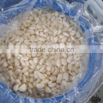 high quanlity organic garlic segment in brine